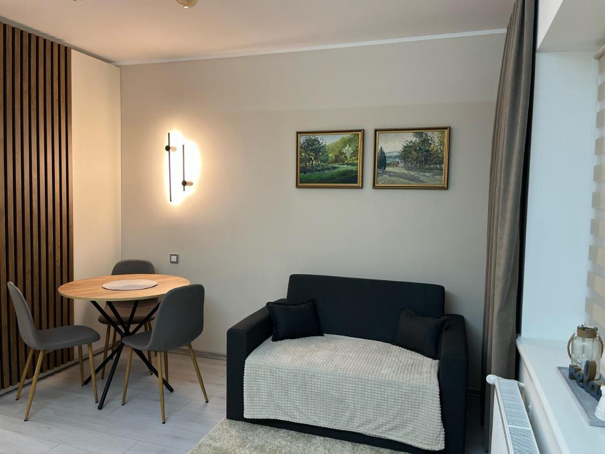 Appartement Гірський Кришталь à Skole Extérieur photo